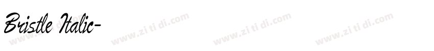 Bristle Italic字体转换 Bristle Italic字体转换